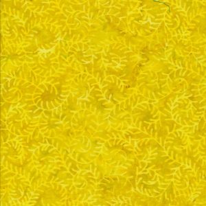 CITRON 828  12 Yds