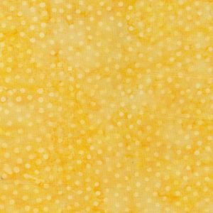 Dots 007  12 YDS