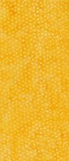 Dots 008  12 YDS