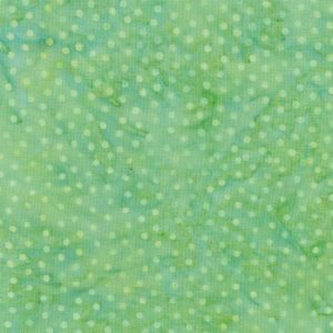 Dots 013  12 YDS