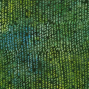 Eucalyptus 703