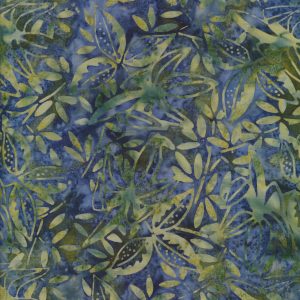 Eucalyptus 714