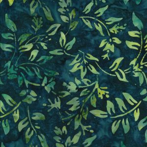 Eucalyptus 719