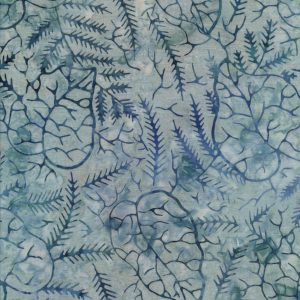 Eucalyptus 722