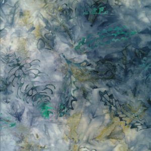 Eucalyptus 723